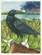 Crow Print 11x14