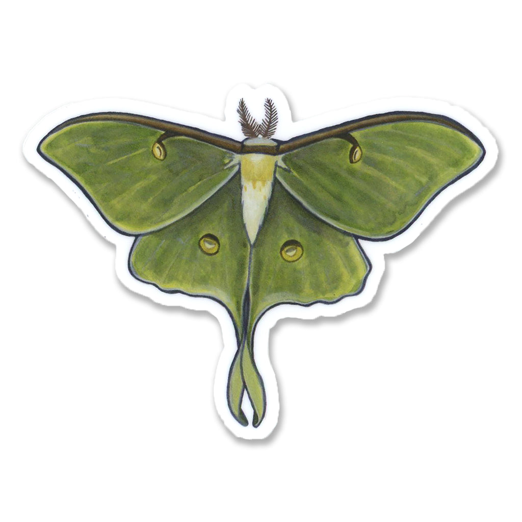 Luna moth sticker — ALPINE AYITA