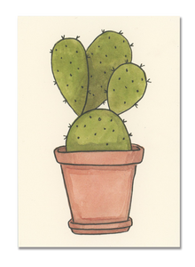 Paddle Cactus Postcard