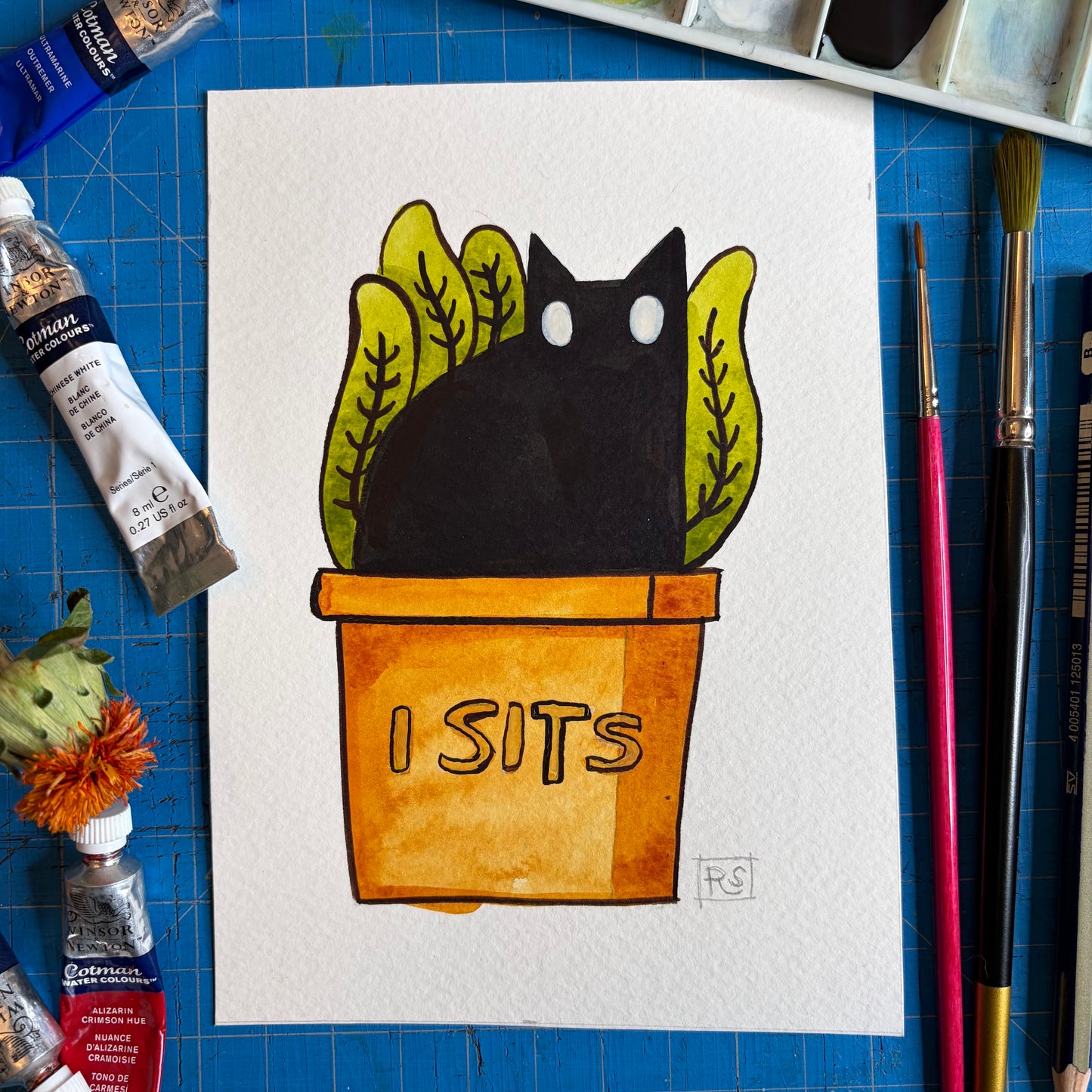 I Sits Cat Illustration