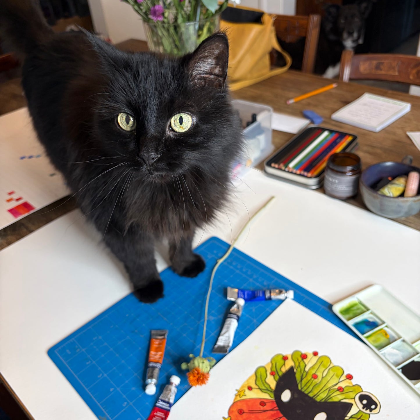 Cat with Seaweed and Flower Petals Illustration 1.0