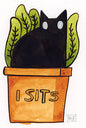 I Sits Cat Illustration