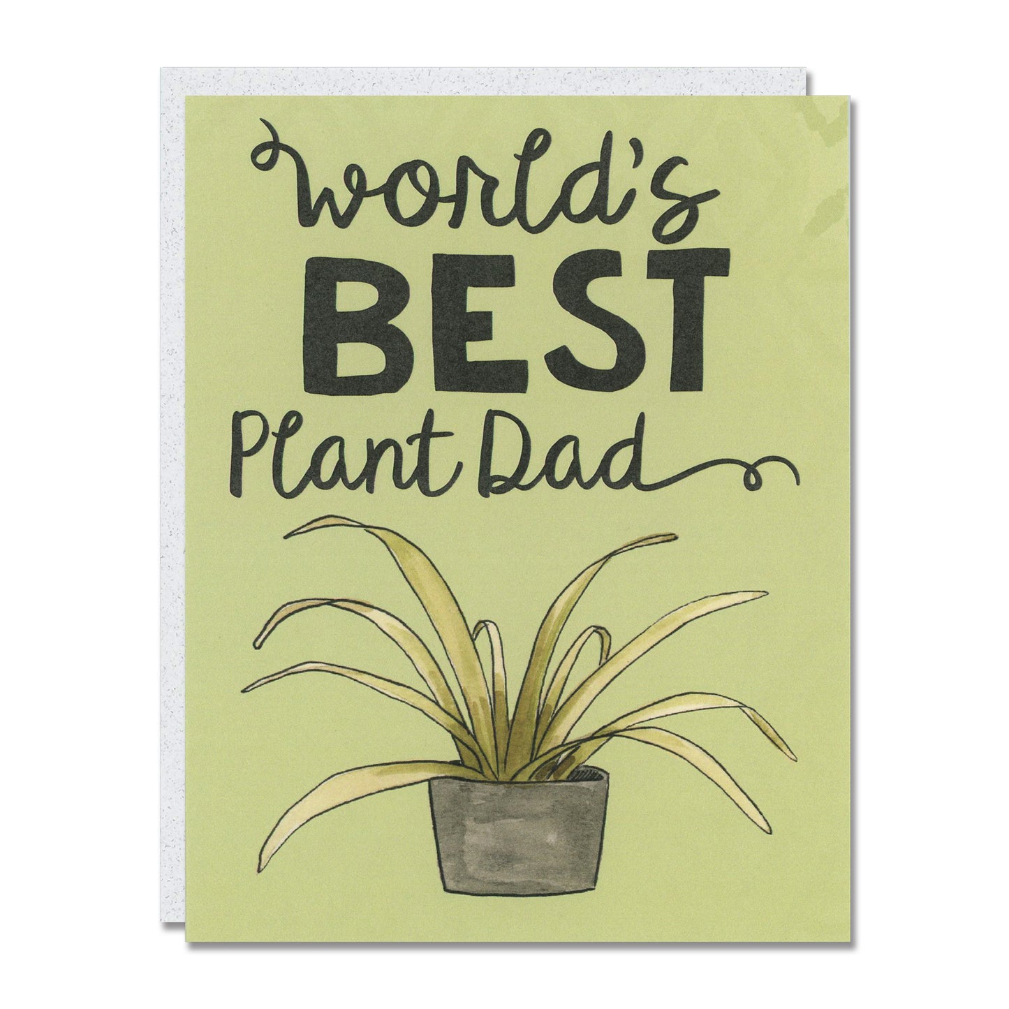 Plant Collection 6-Pack