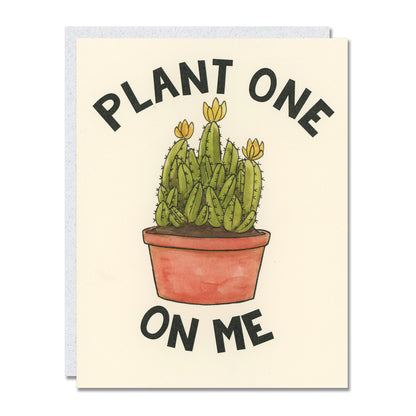 Plant Collection 6-Pack