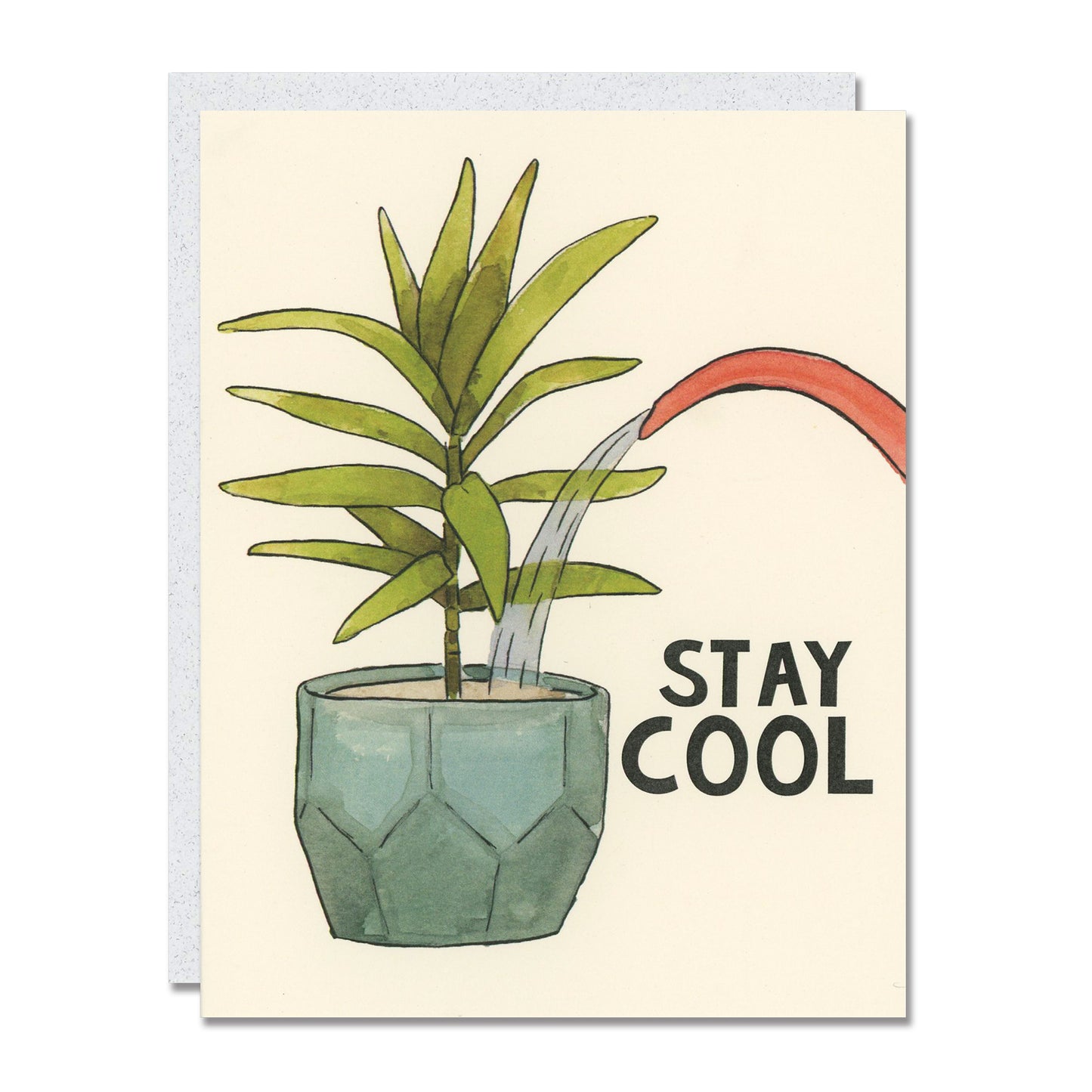 Plant Collection 6-Pack