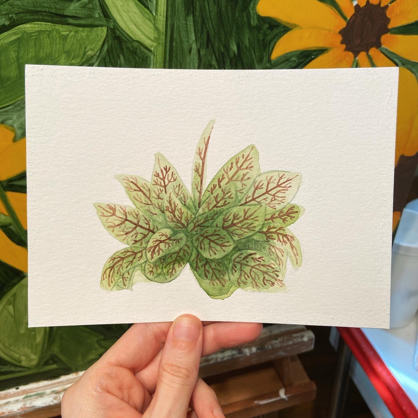 Blood Veined Sorrel Original Watercolor