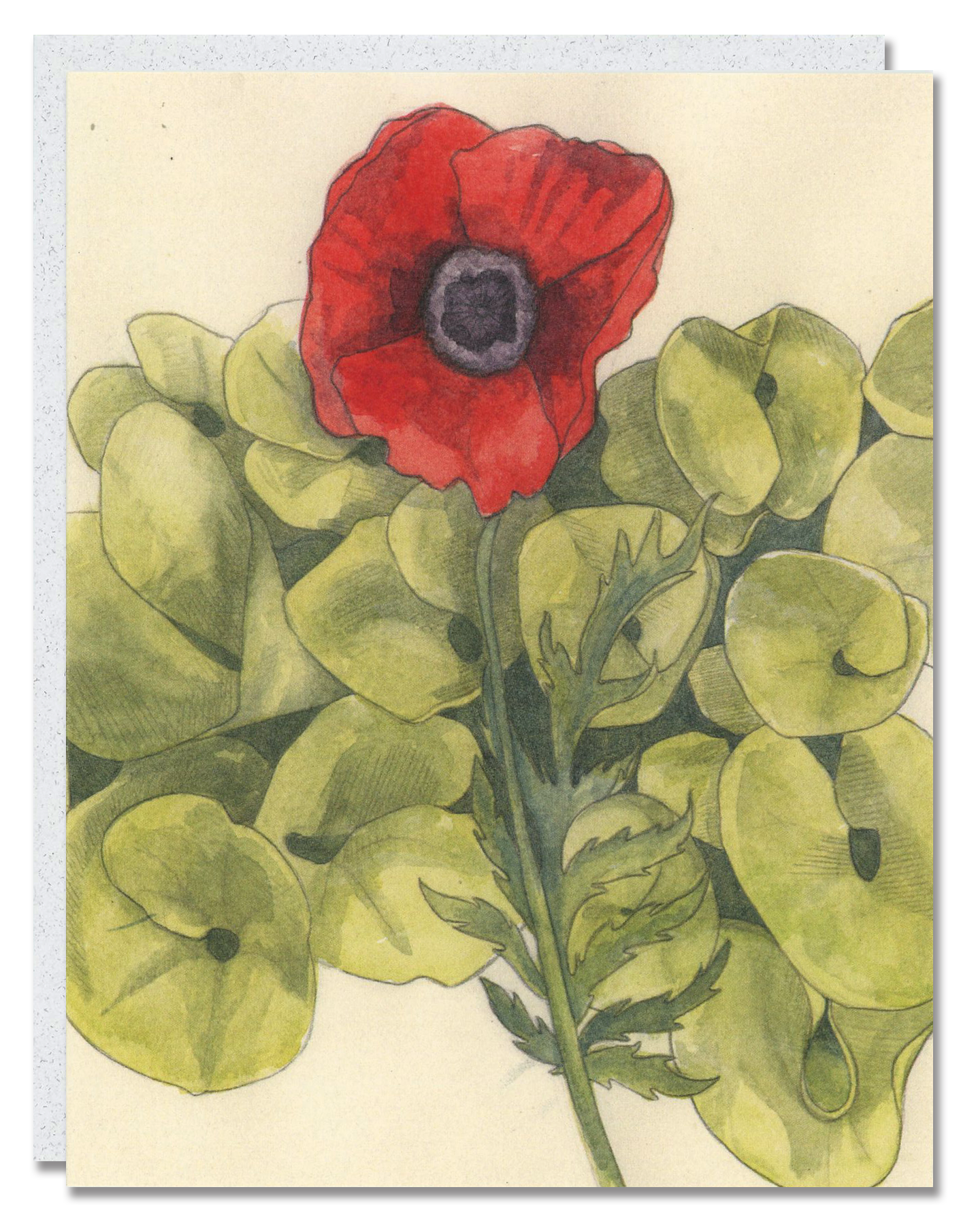 Poppy card