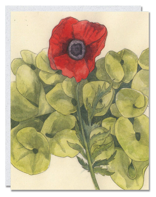 Poppy card