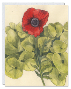 Poppy card