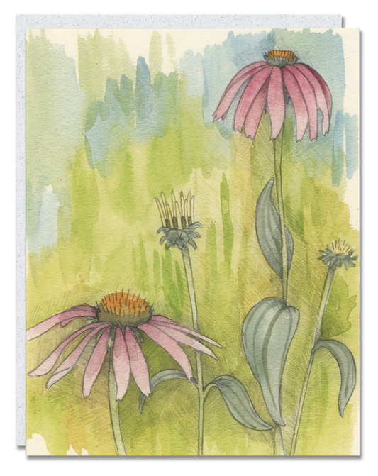 Cone Flower card