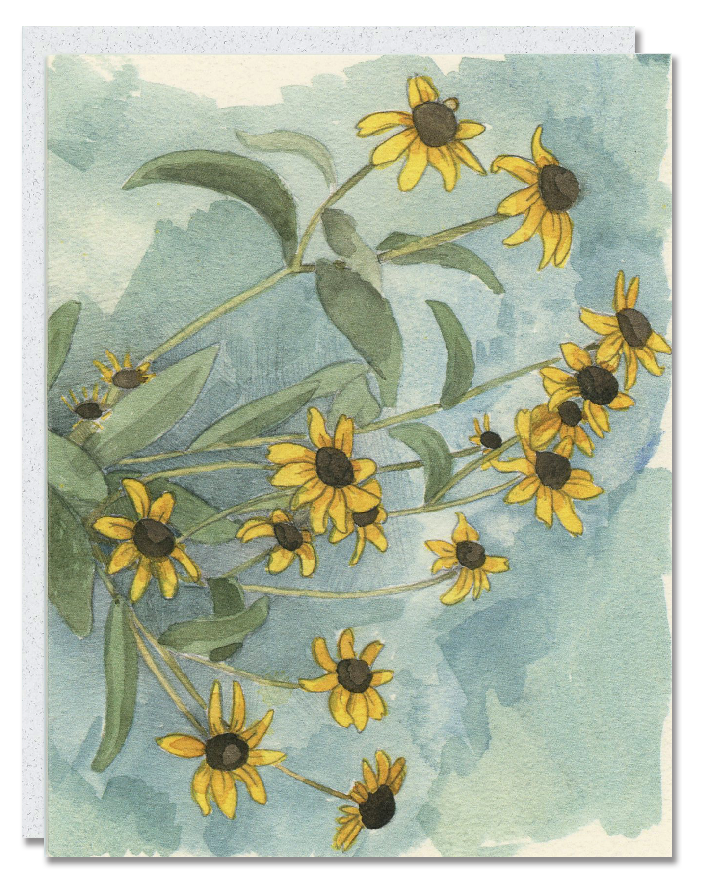 Black-Eyed Susan card