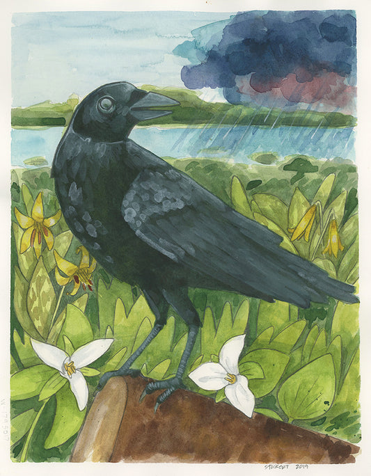 Crow Print 11x14