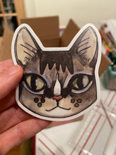Tabby Cat Sticker