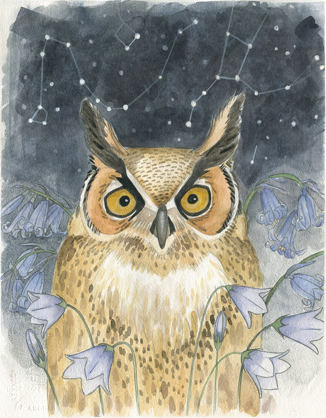 Owl Print 8x10