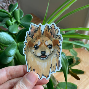 Pomeranian Dog Sticker