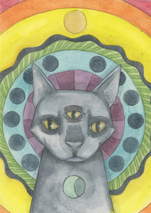 Seeing Cat Print 8x10