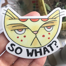 So What? Cat Sticker