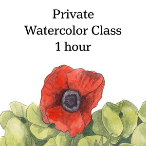 Class-Private Watercolor lesson