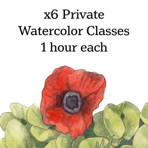 Class-6 Private Watercolor lessons