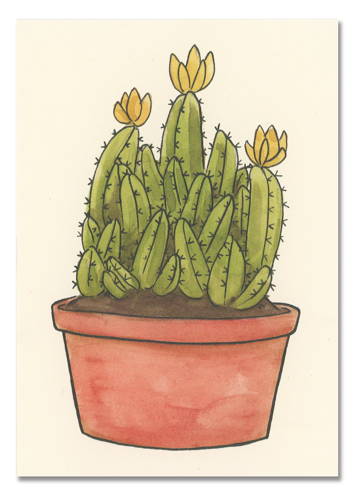 Fairy Castle Cactus Postcard