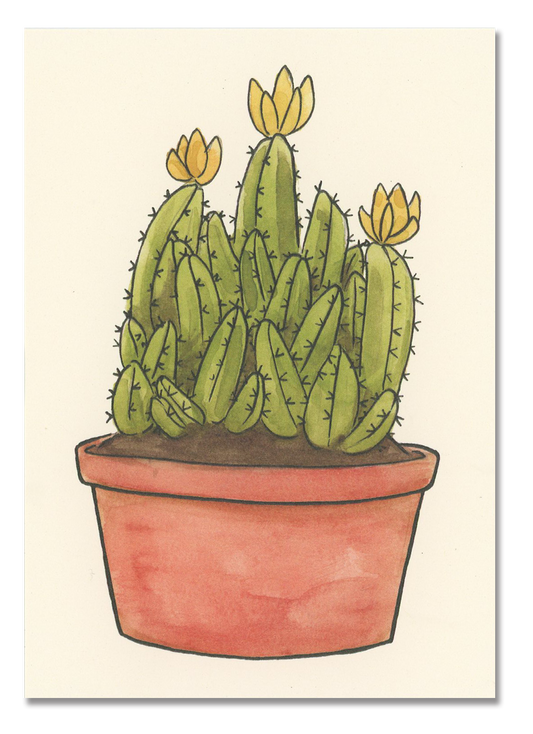 Fairy Castle Cactus Postcard