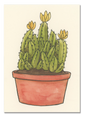 Fairy Castle Cactus Postcard