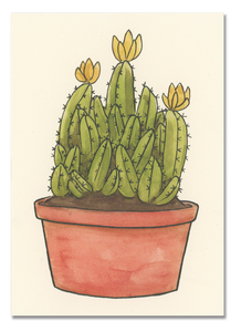 Fairy Castle Cactus Postcard