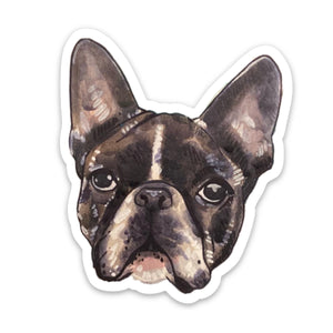 Frenchie Pied Dog Sticker