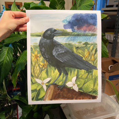 Crow Print 11x14