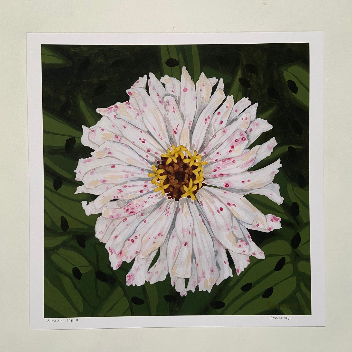 Zinnia Print 12x12