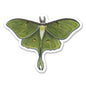 Luna Moth Sticker