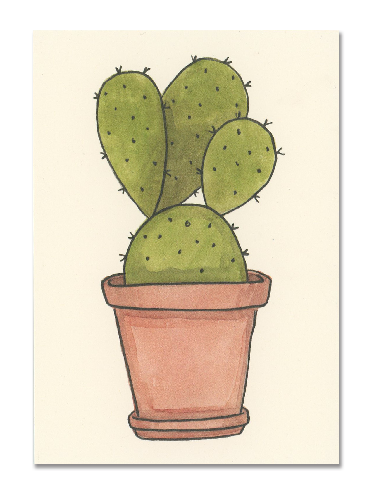 Paddle Cactus Postcard