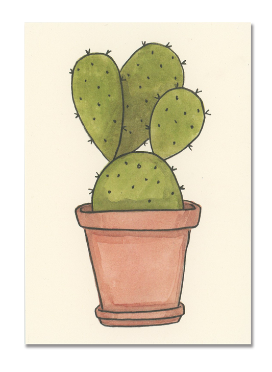 Paddle Cactus Postcard