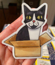 Tuxedo Cat in Box Sticker