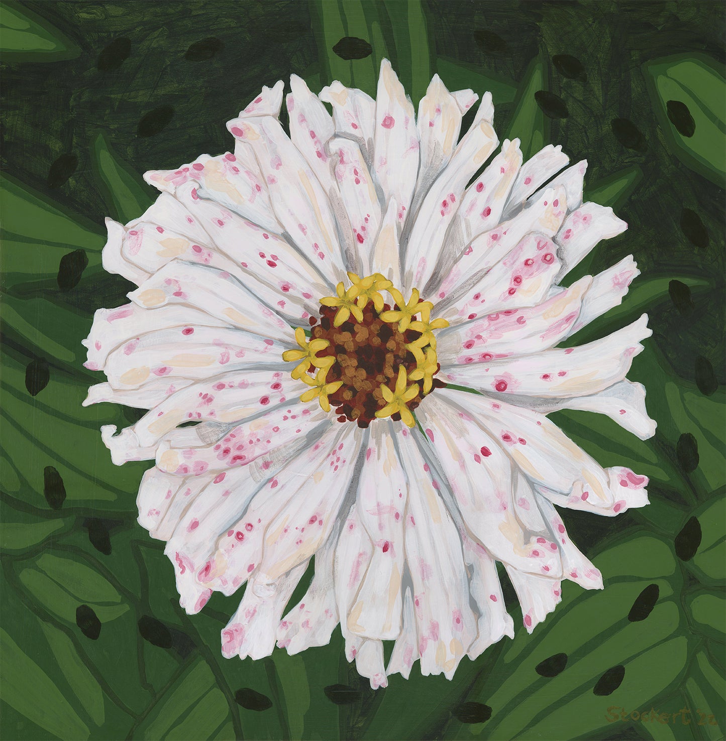 Zinnia Print 12x12